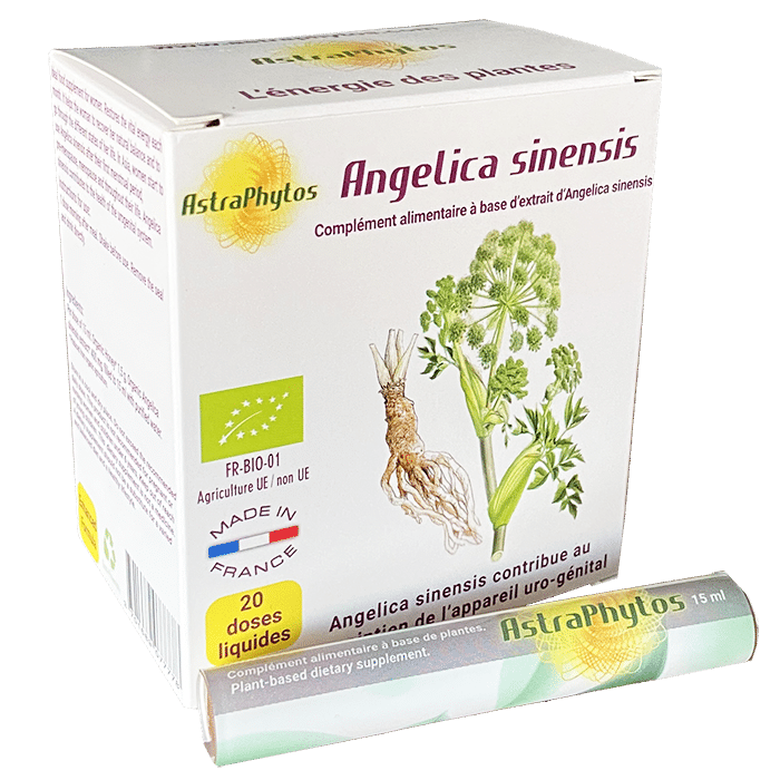 Angélique chinoise Bio AstraPhytos – 20 doses